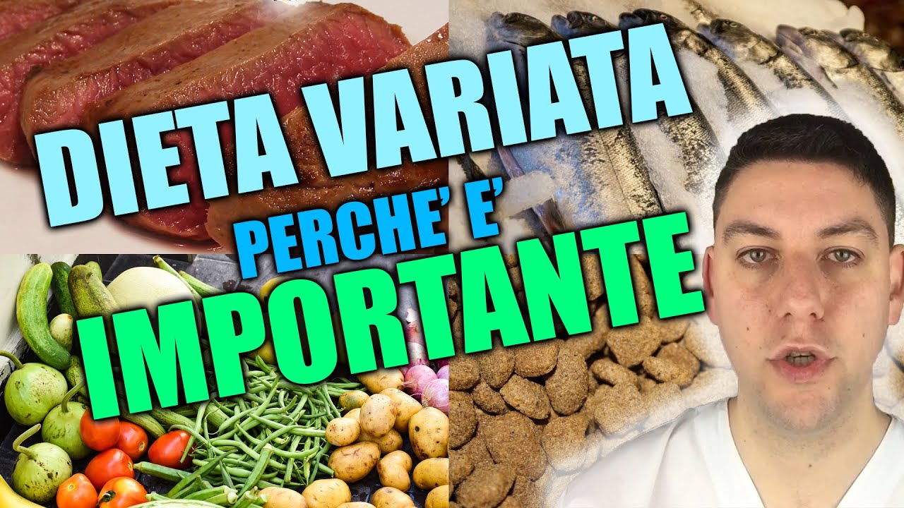 Alimentazione VARIATA per cani e gatti: ecco perché è importante!