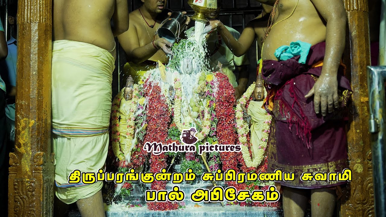 🔴LIVE திருப்பரங்குன்றம் முருகப்பெருமானுக்கு குடம் குடமாக பால் அபிசேகம் | Abishegam Thirupurankundram