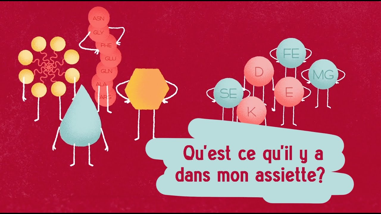 Qu'est ce qu'il y a dans mon assiette?