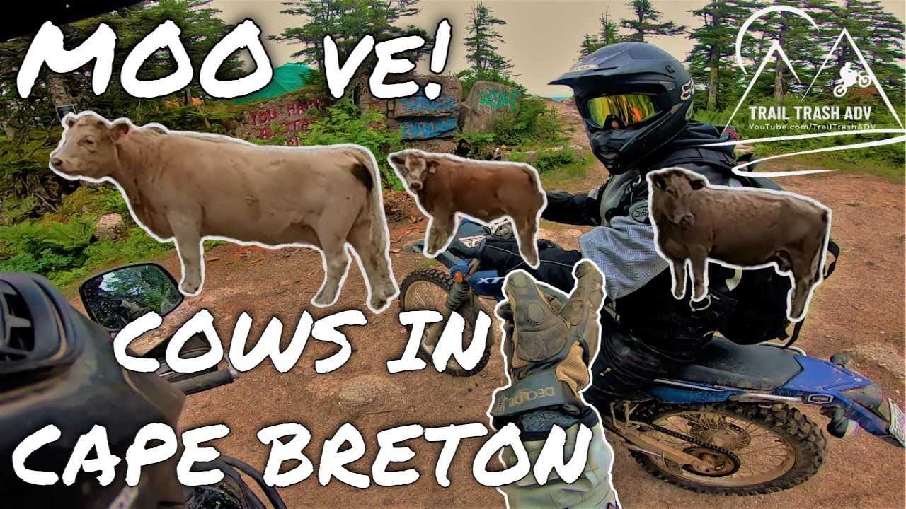 North River Falls Attempt 2020 | Cabot Trail Dualsport and Adventure Motorcycle Guide | 2K