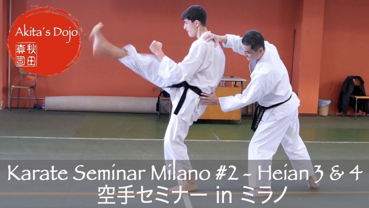 #2 Kata Heian Sandan & Yondan - Seminar in Milano 【空手inミラノ】型平安三段、四段【Akita's Karate Video】