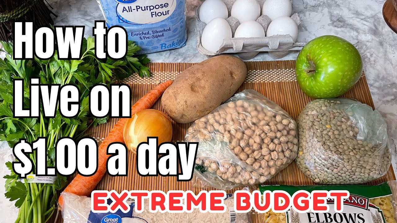 EATING FOR $1 A DAY  | EXTREME BUDGET MEAL PLAN