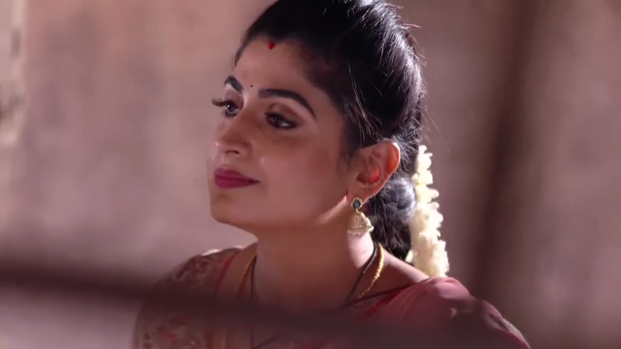 Akka Chellellu - Ep 308 - V. B. Rajendra Prasad - Telugu Tv Serial - Zee5 Telugu Classics