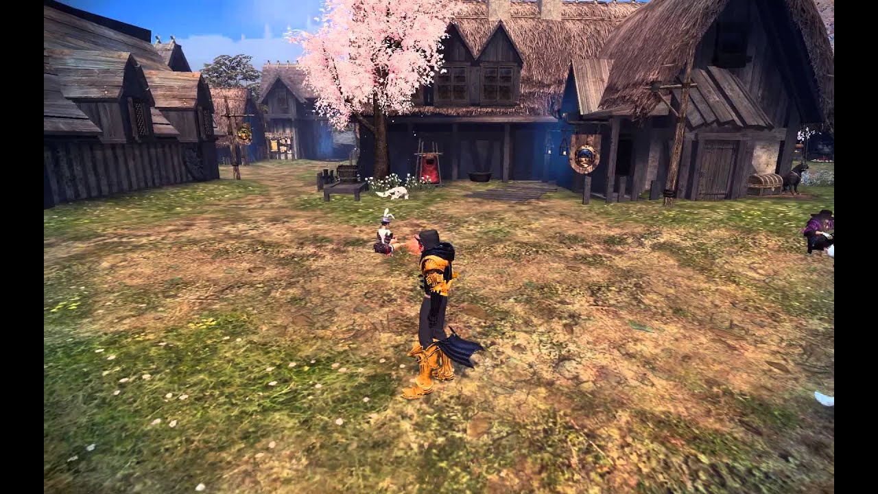 Vindictus - Cape Graphics Glitch