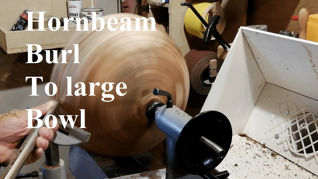 Woodturning a Hornbeam Burl to a Large Bowl