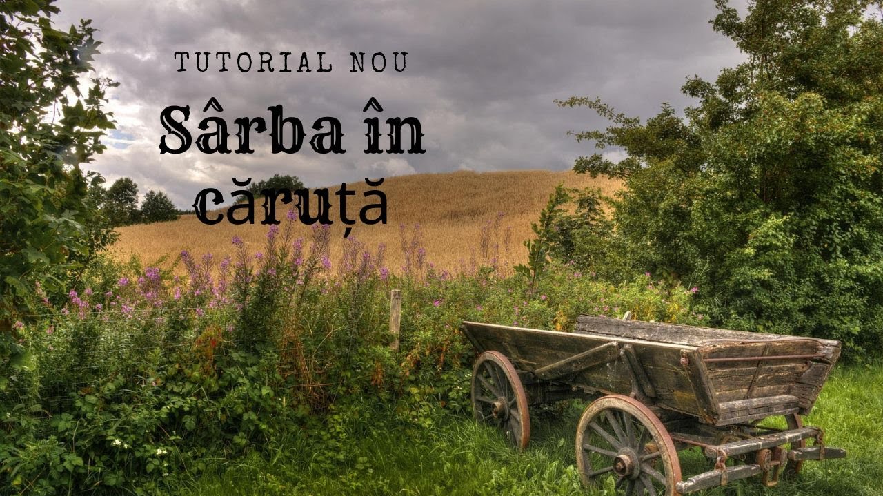 Tutorial - Sârba în căruță