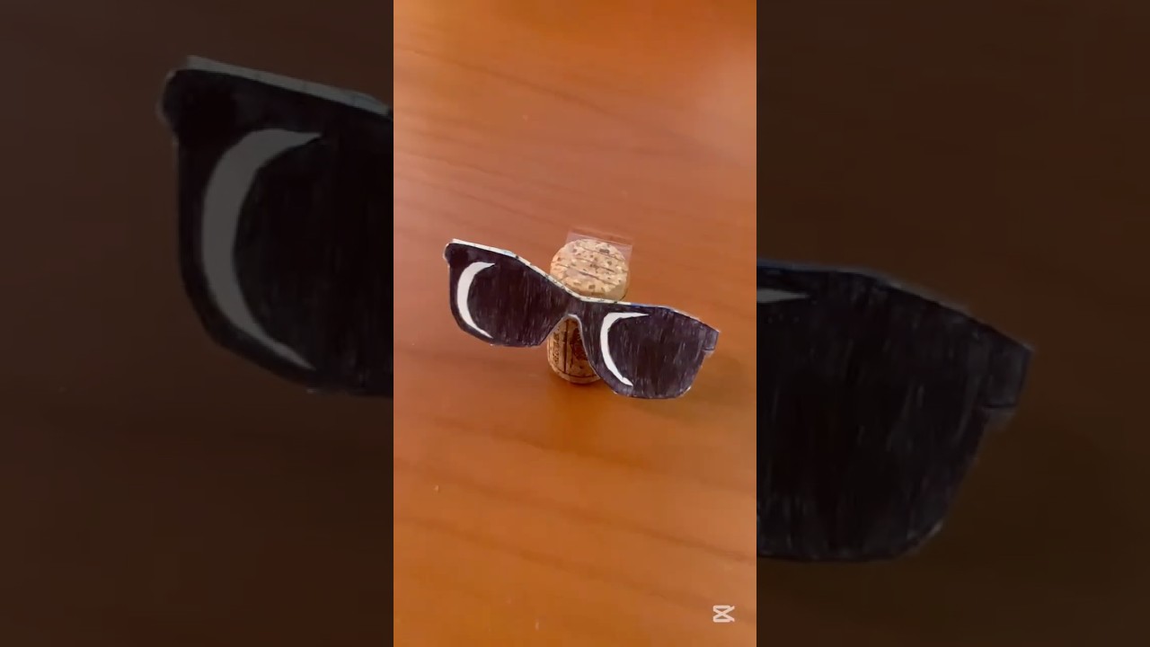 Tappo di sughero 🕶️- Giorno 16 mettendo occhiali su cose a caso 