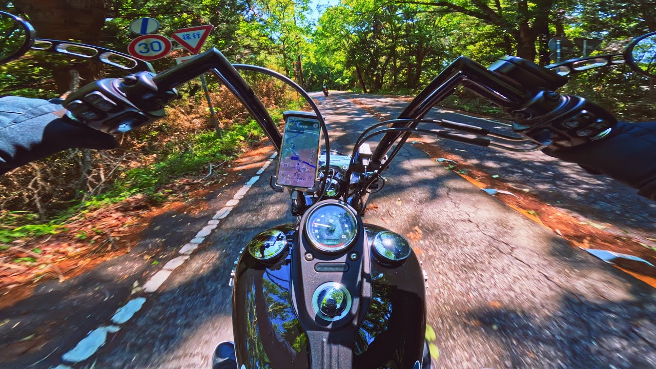 HARLEY DAVIDSON FXDB POV PURE SOUND