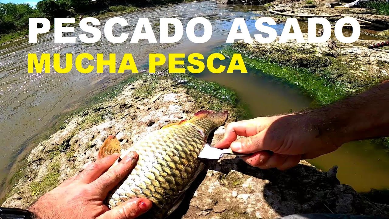 D&iacute;a de PESCA Y COCINA 