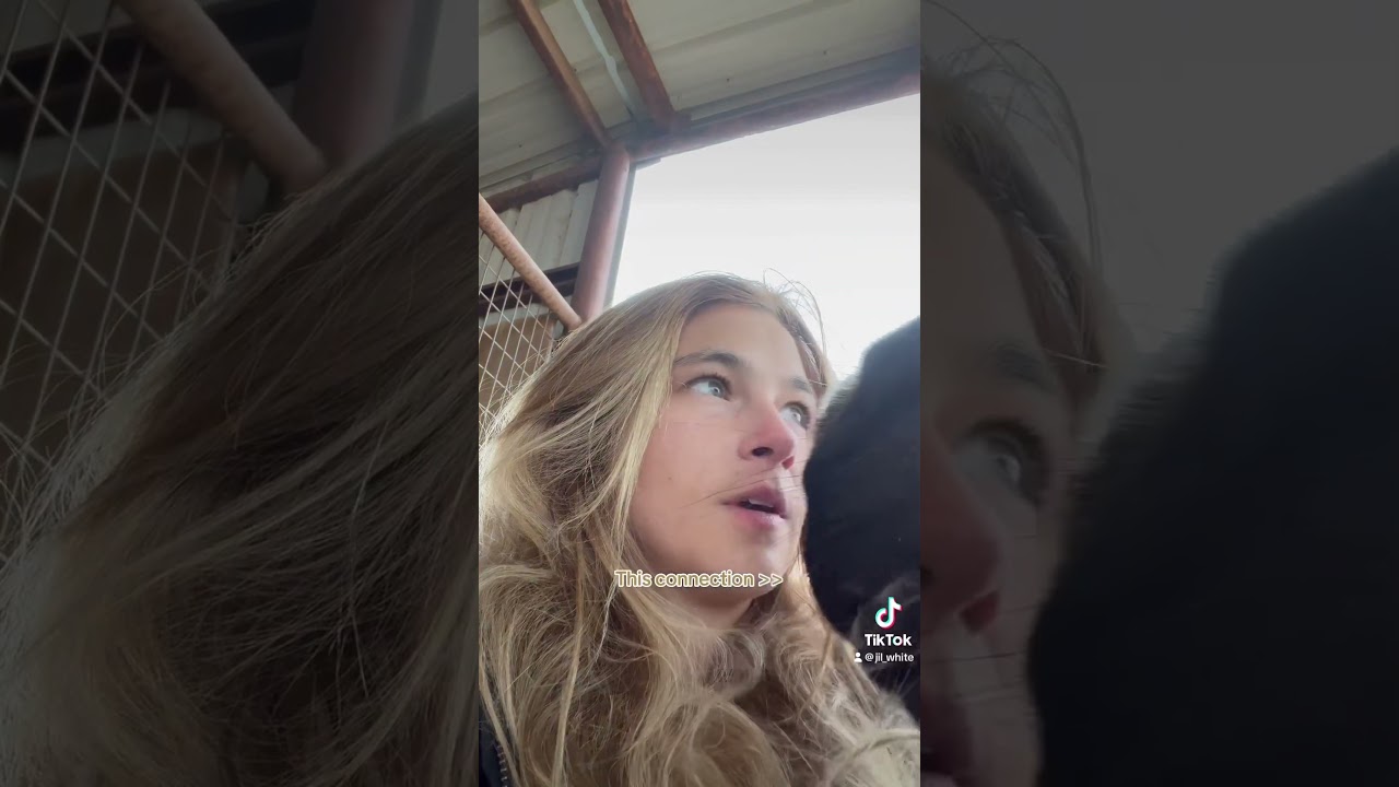 A horse's connection is for life #shorts #horse