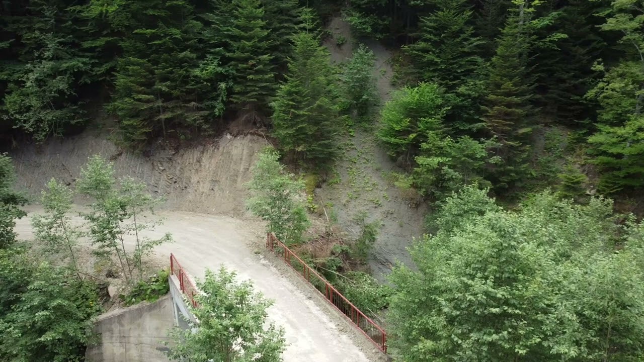 Lucrări de construcție a unui drum forestier la Ocolul Silvic T&acirc;rgu Ocna din cadrul Romsilva