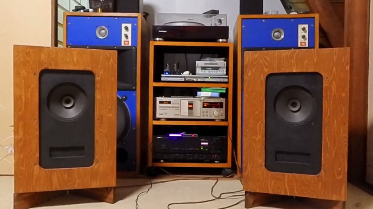 SIEMENS C72233-A40-A1 8inch Full range speaker ( Night in Moscow Suburbs )