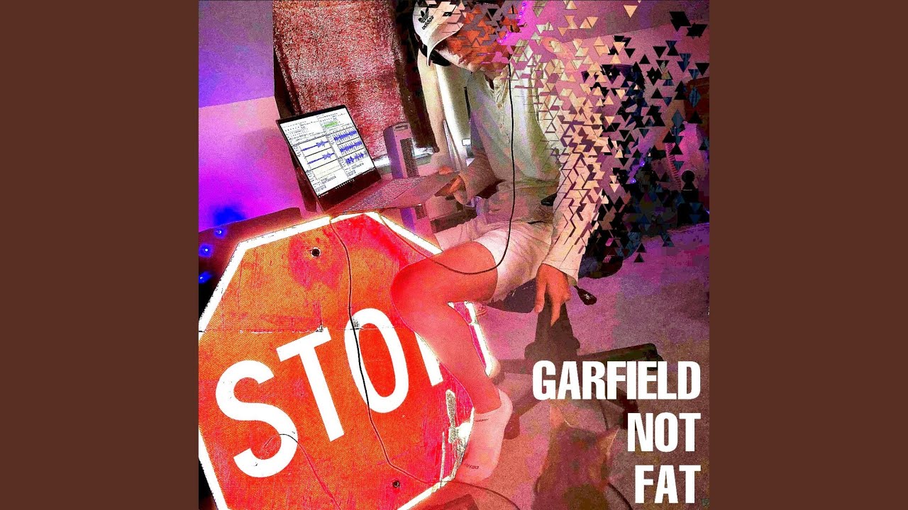 Garfield NOT FAT