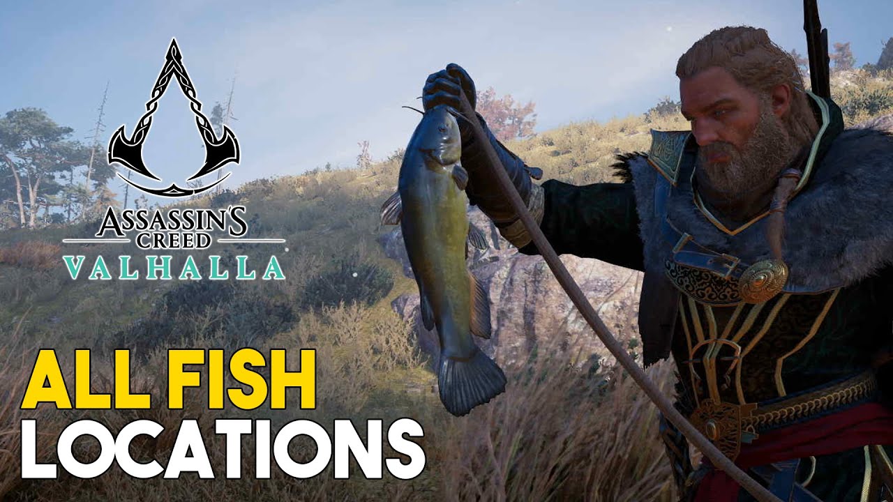 Assassins Creed Valhalla All Fish Locations (Good Catch Trophy Guide)