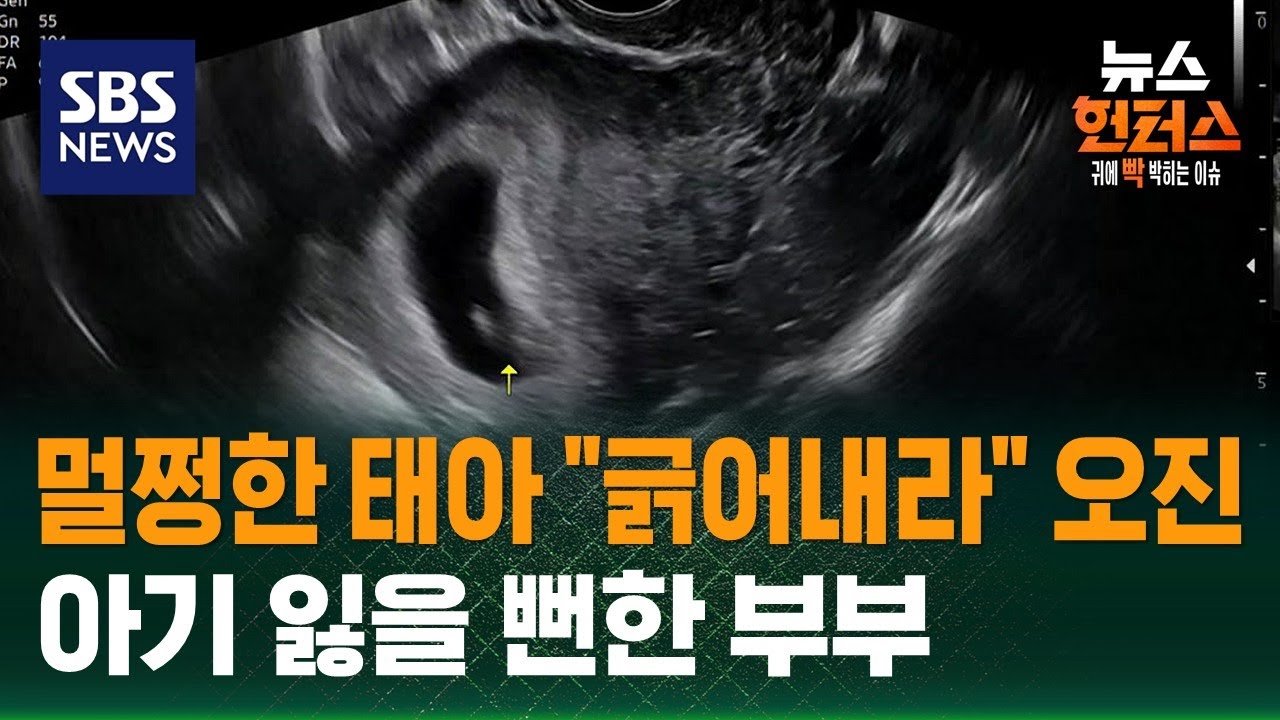 [사건X파일] 멀쩡한 태아 “긁어내라” 오진... 아기 잃을 뻔한 부부 / SBS / 뉴스헌터스