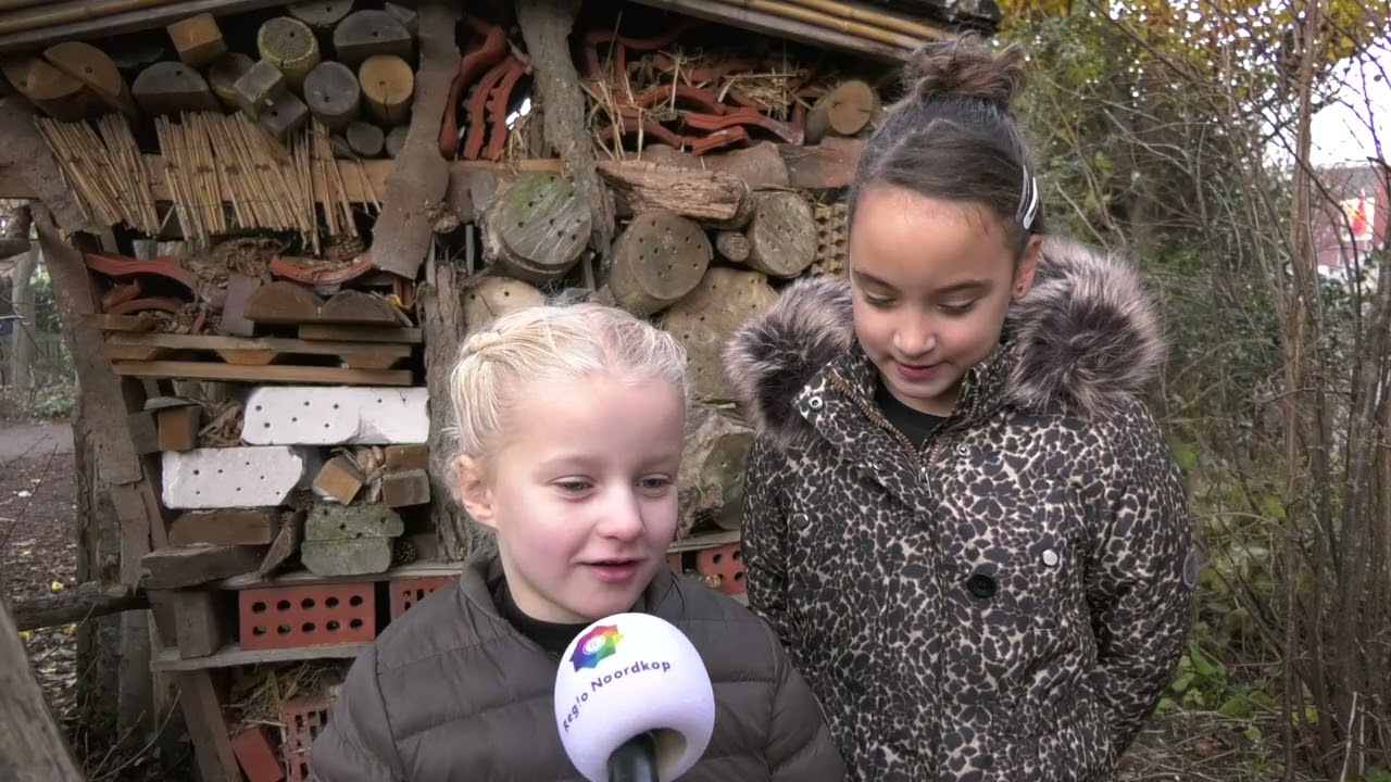 Verrekijker en Windwijzer hebben het groenste schoolplein van Den Helder