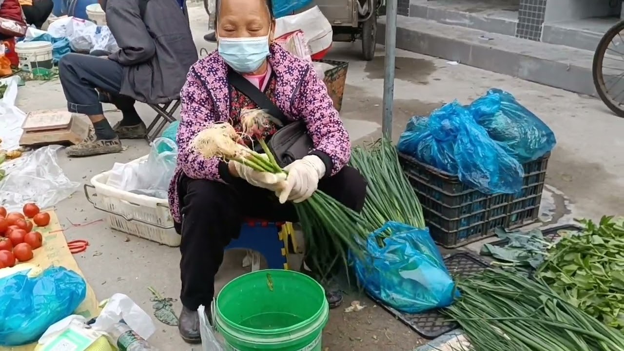 Chinese Vegetable market | Fresh fish market in Guangzhou | Sabji mandi in china | Travel in China