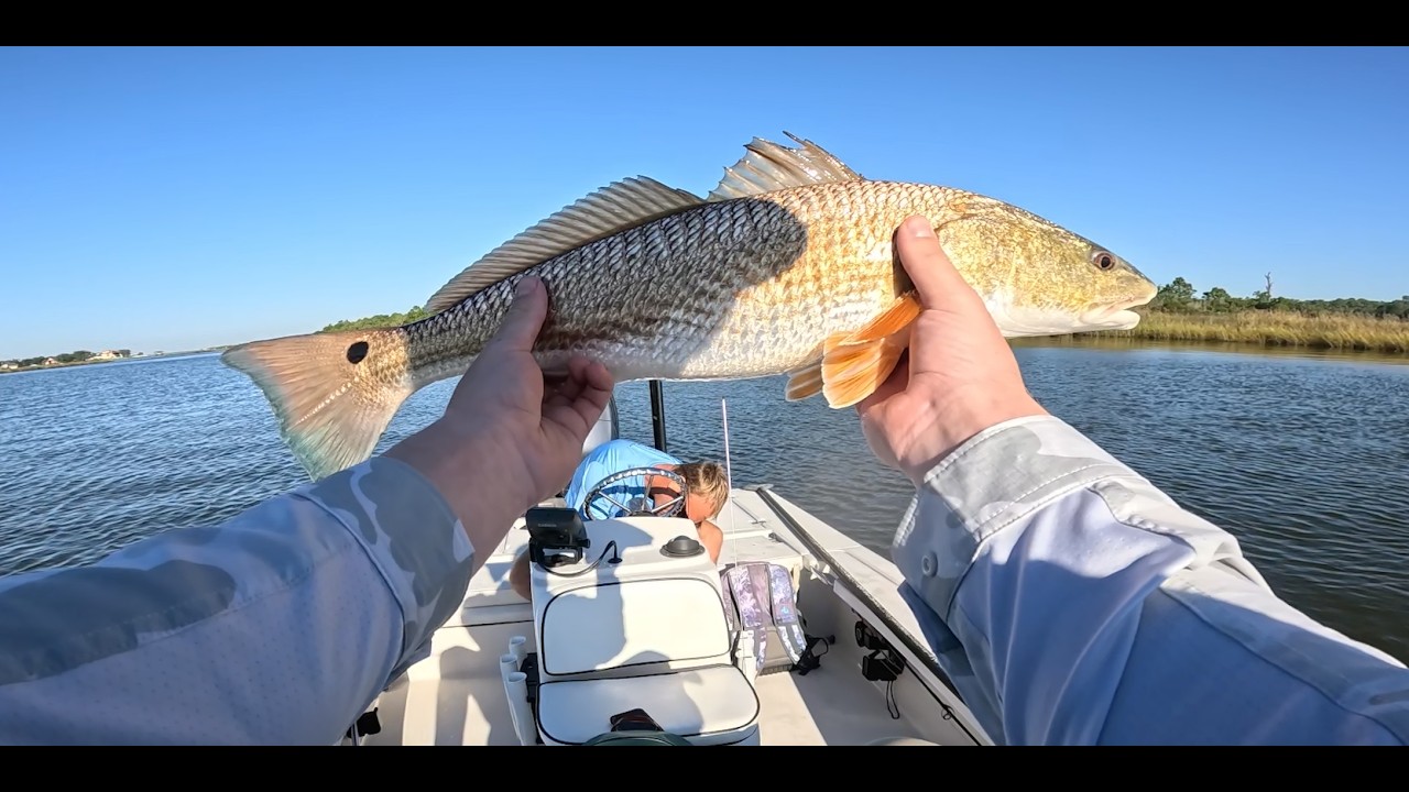 Mississippi Red's on Fly