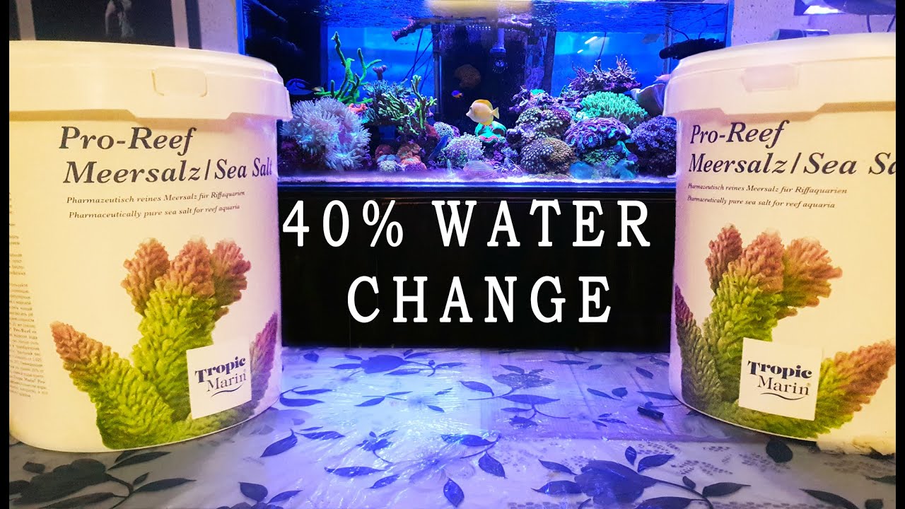 40 % Water Change with Tropic Marin Salt