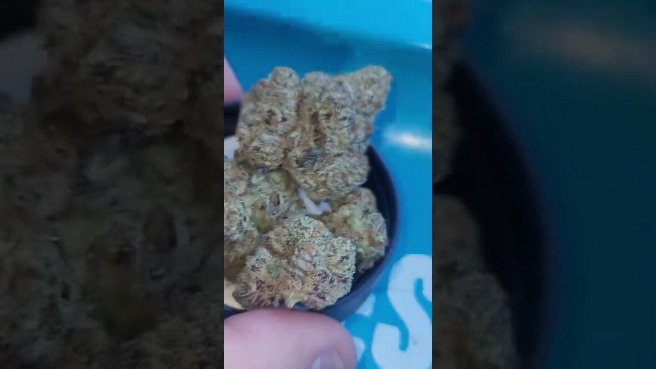 💯💯💯💯💯CONNECTED WIPE OUT INDOOR STRAIN 👽👽😈😈😈👽👽