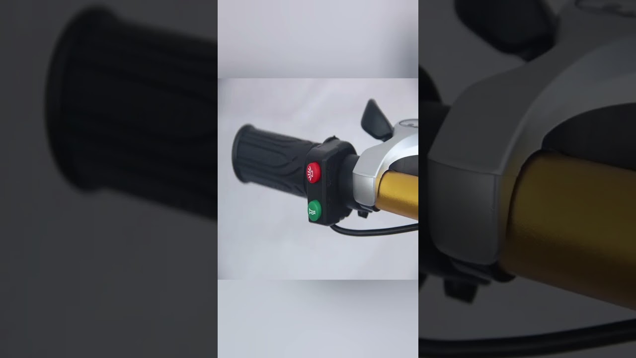 NEW CYCLE Hot Sale MTB Bike with HL Battery Electric Mountain Bike with 36V 250W Motor