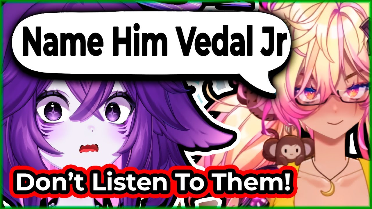 Koko Finds Out About Vedal & Mega's Baby...