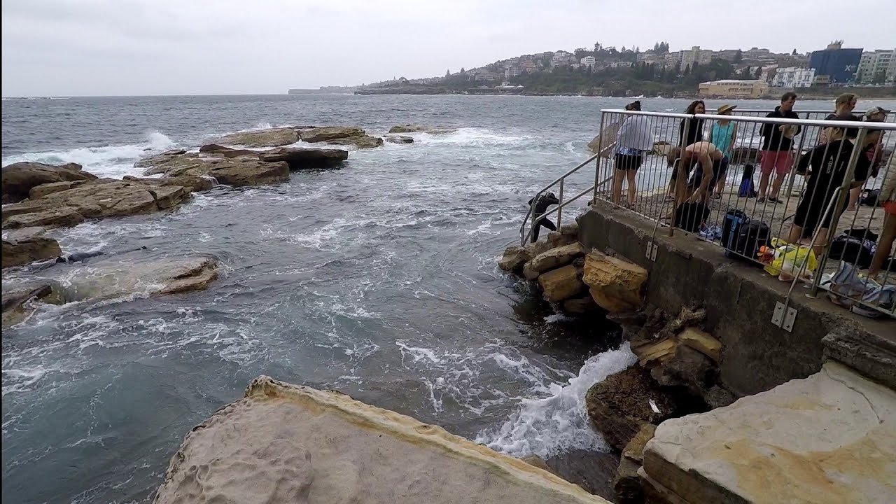 Giles Baths, Coogee