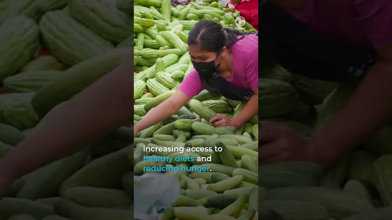 Achieving Better Nutrition in Asia-Pacific by reducing food loss and waste (vt)