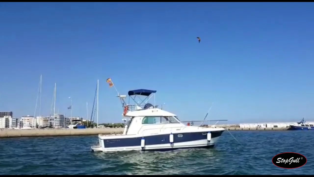 AntiGaviotas StopGull Falcon