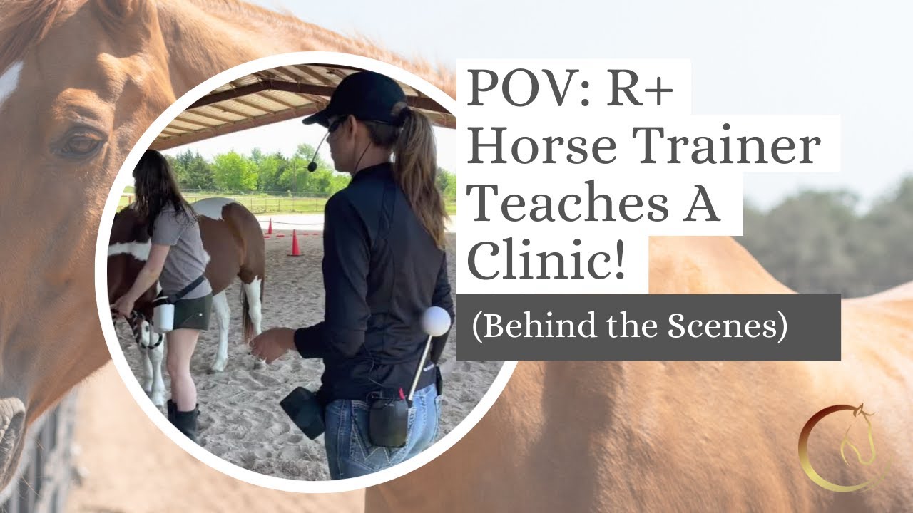 POV : R+ Horse Trainer Teaches A Clinic! (Behind the Scenes)