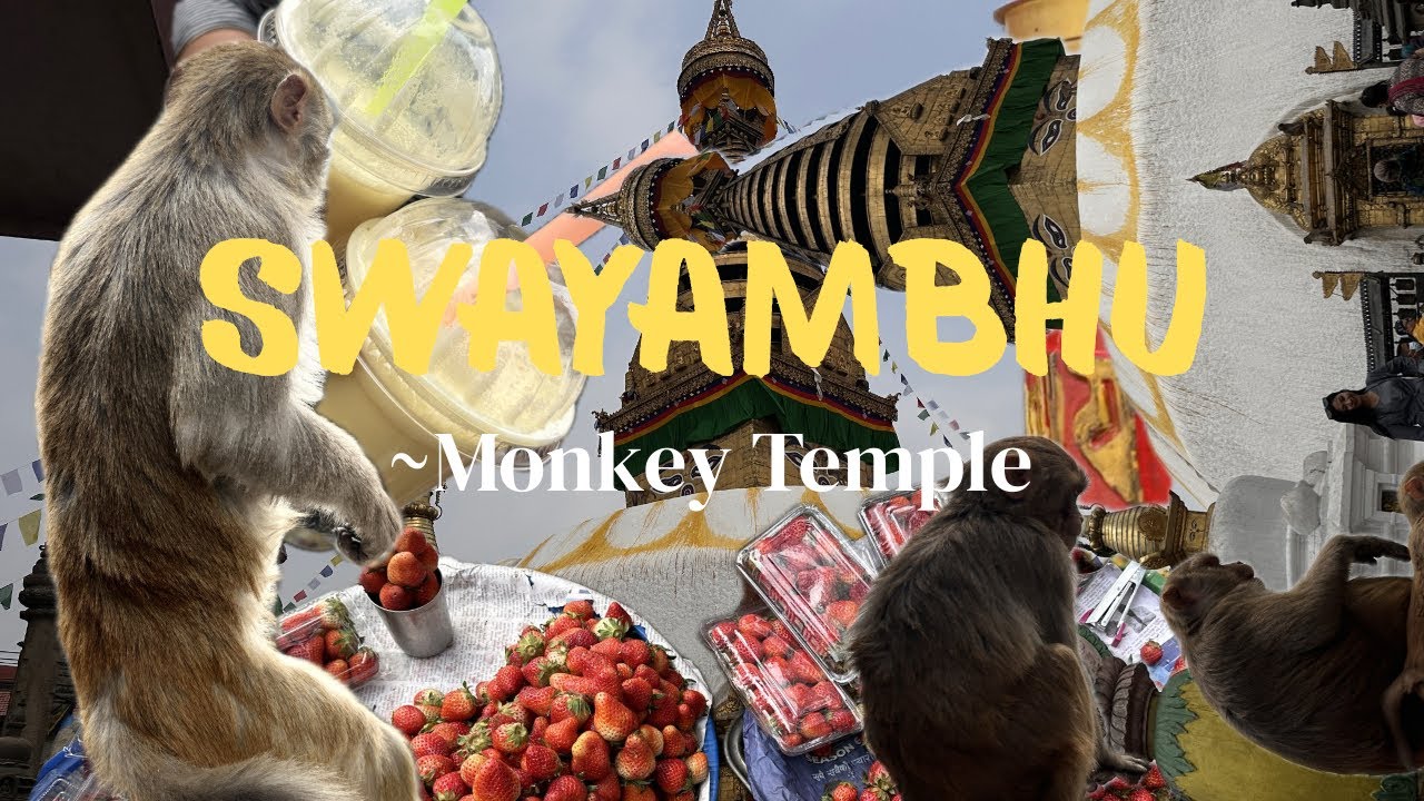 Visit To Swayambhunath- Monkey Temple