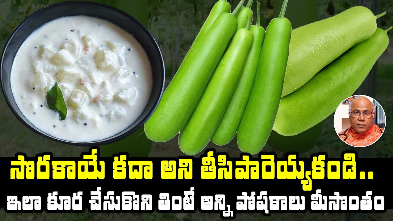 సొరకాయ కూర తింటున్నారా .? || Sorakaya Benefits In Telugu || TX TV