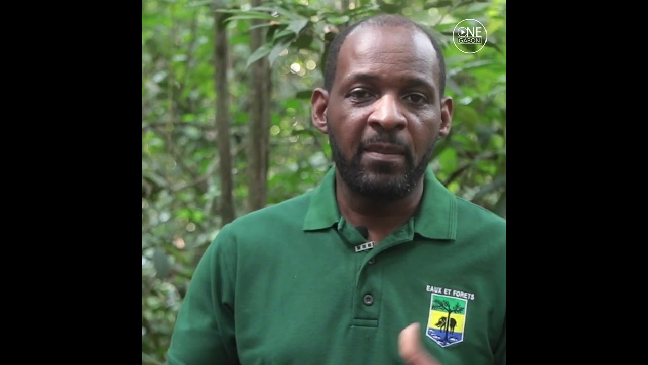 Qu'est-ce qu'une forêt communautaire ?