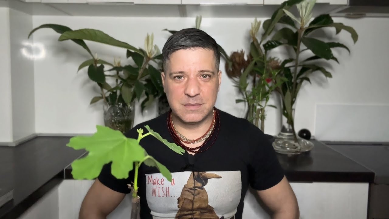 КОЗЕРОГ ♑️ Вам нужно знать об этом — Гадание на картах Таро для Козерогов