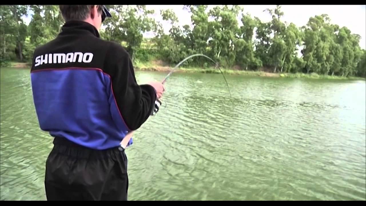Pesca a Feeder: Mulinello Shimano Rarenium Ci4 5000 FA con Francesco Di Veronica