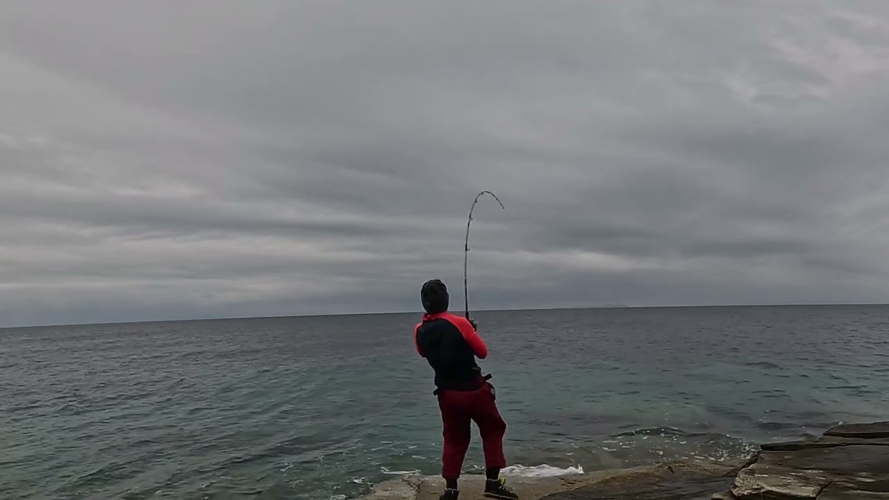 The huge fish cut me in a second