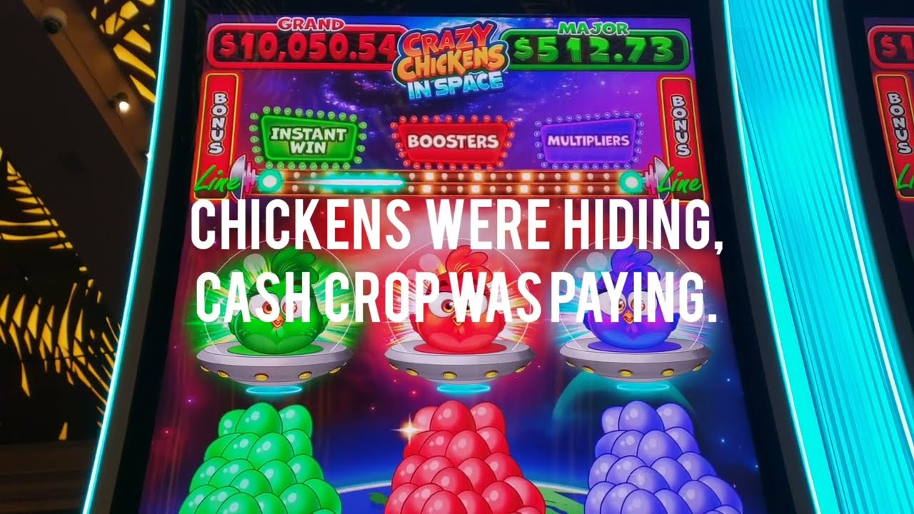 Chickens Hiding, Cash Crop PAYING. 🤑😢👍