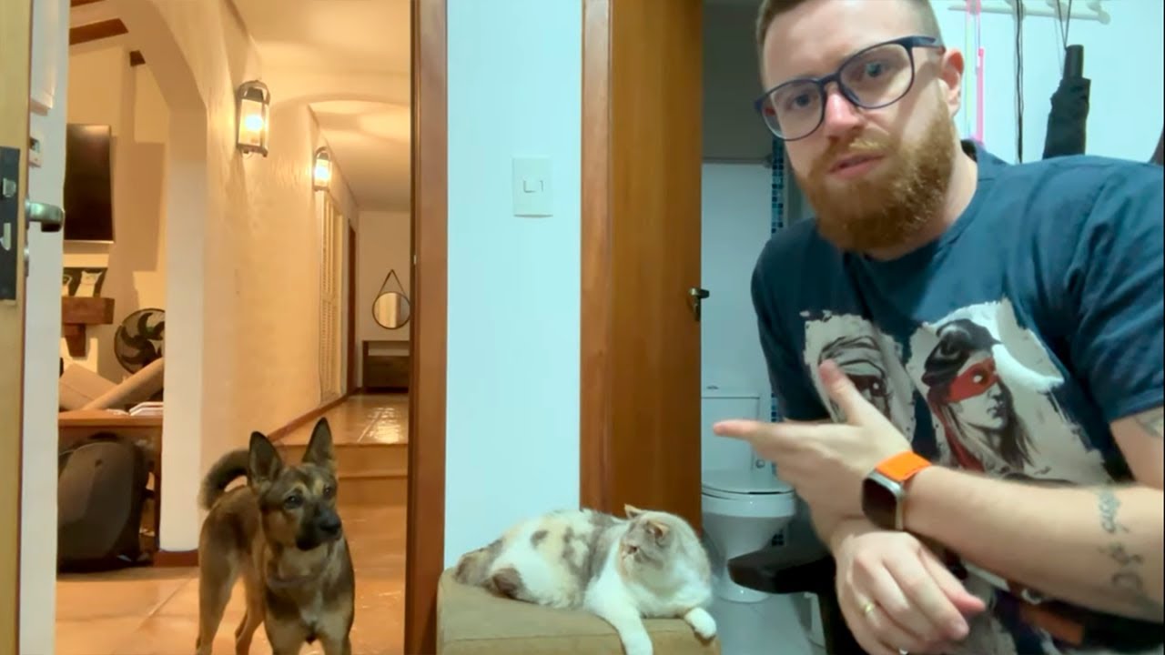 Rotina dos pets (VEDA #24)