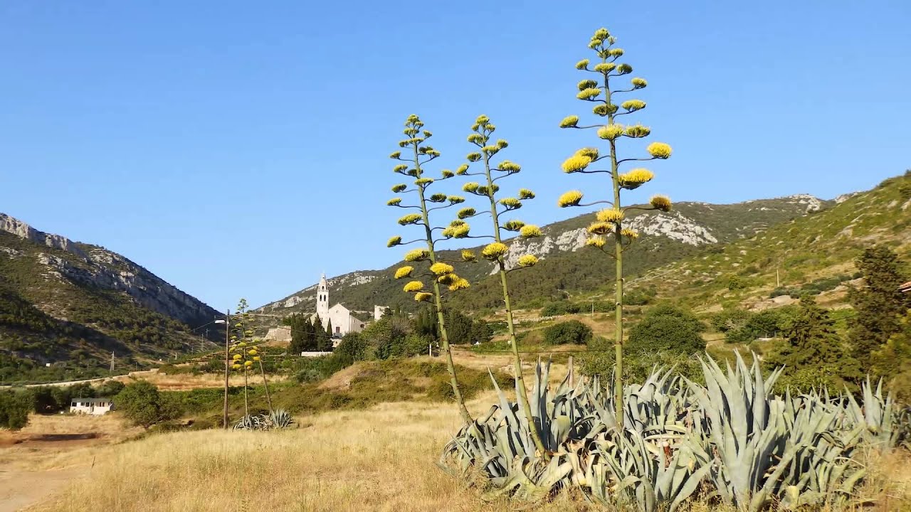 Klapa Nostalgija - Plavi putevi mora
