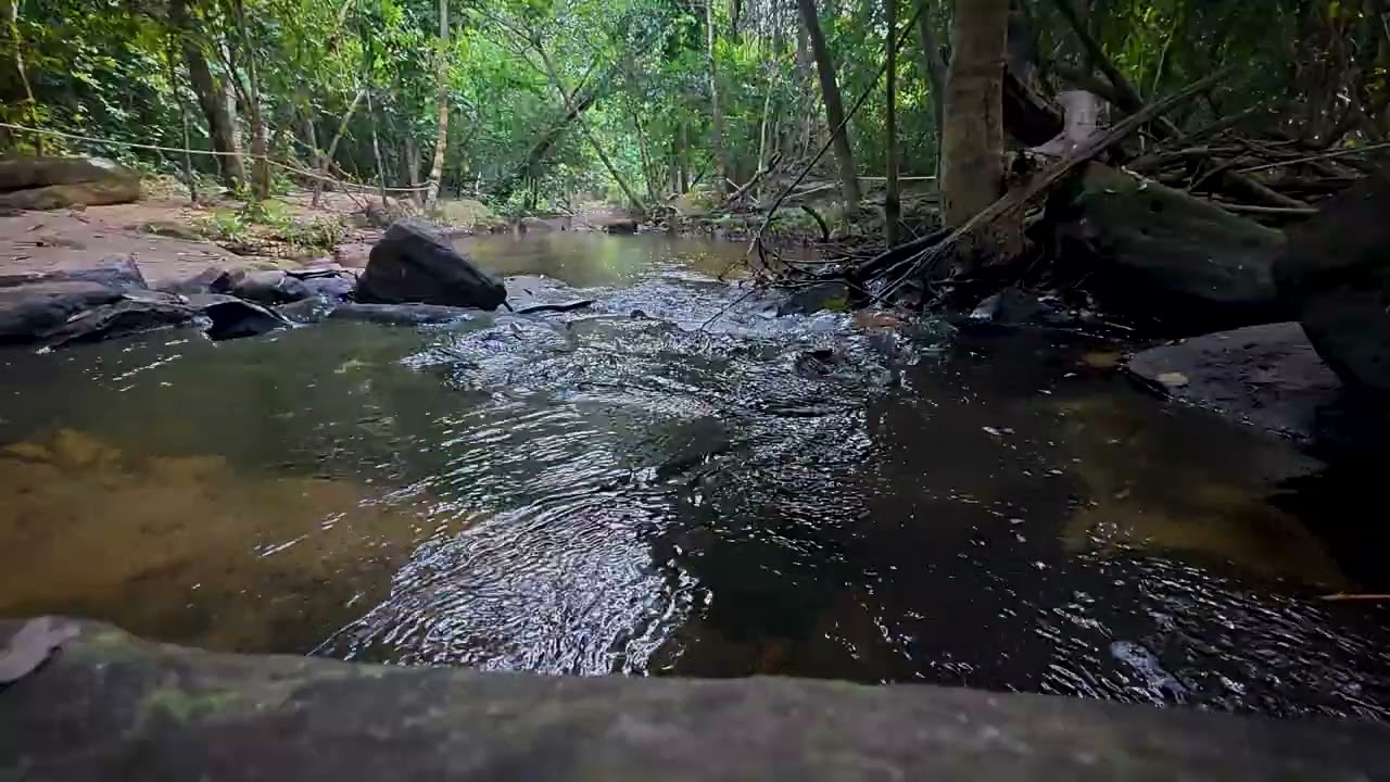 Calming Piano with Gentle Stream Sounds