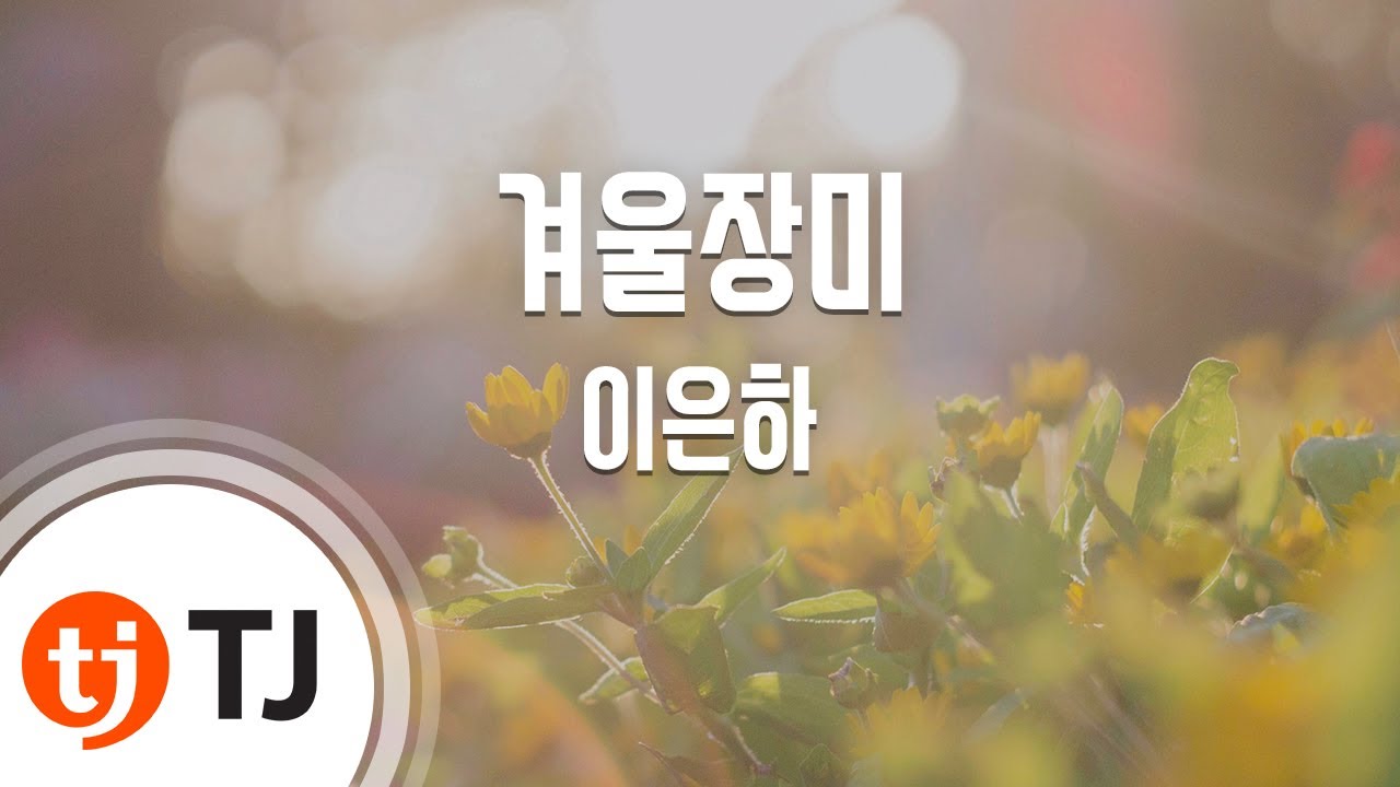 [TJ노래방] 겨울장미 - 이은하 / TJ Karaoke
