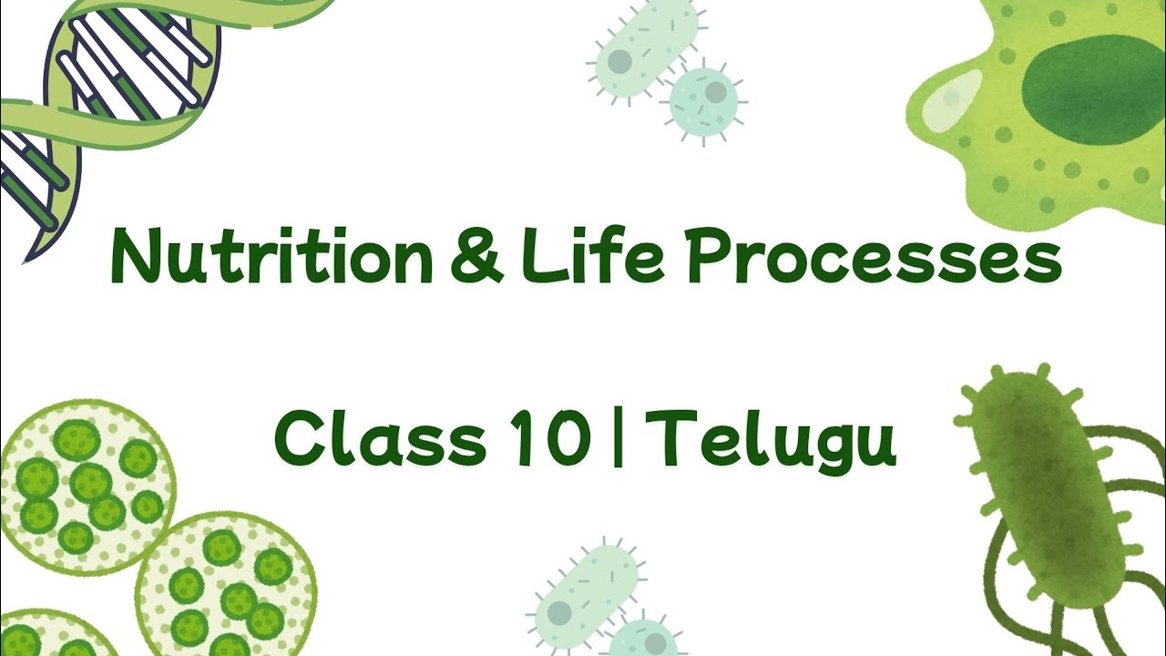 Life Processes Introduction & Nutrition Explained in Telugu | Class 10