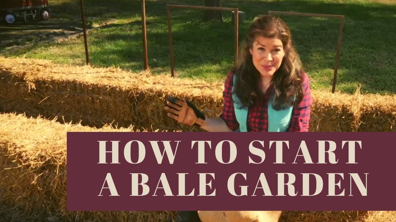 How to Begin 