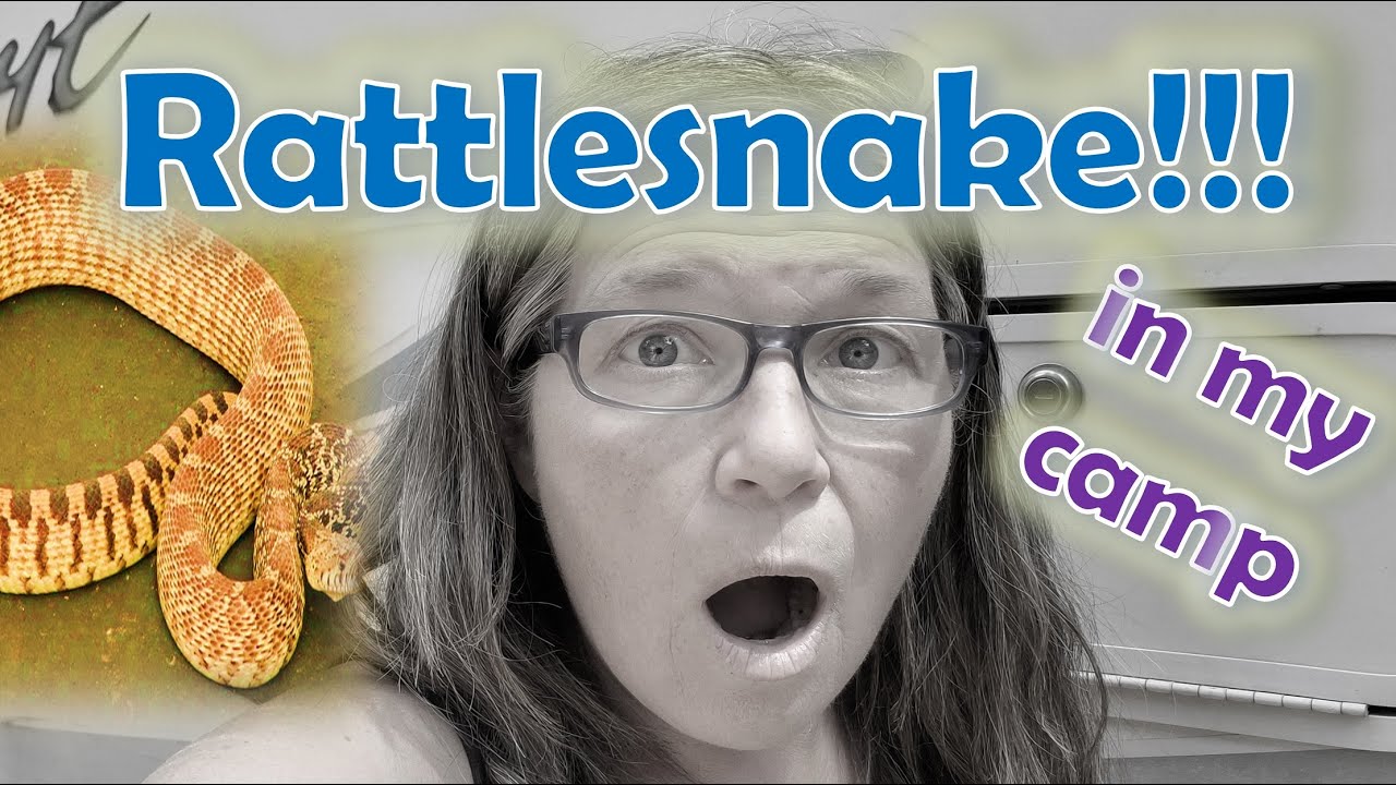RV Life FRIED Electrical System?// RATTLESNAKE IN CAMP! Wait til You See What I Did!