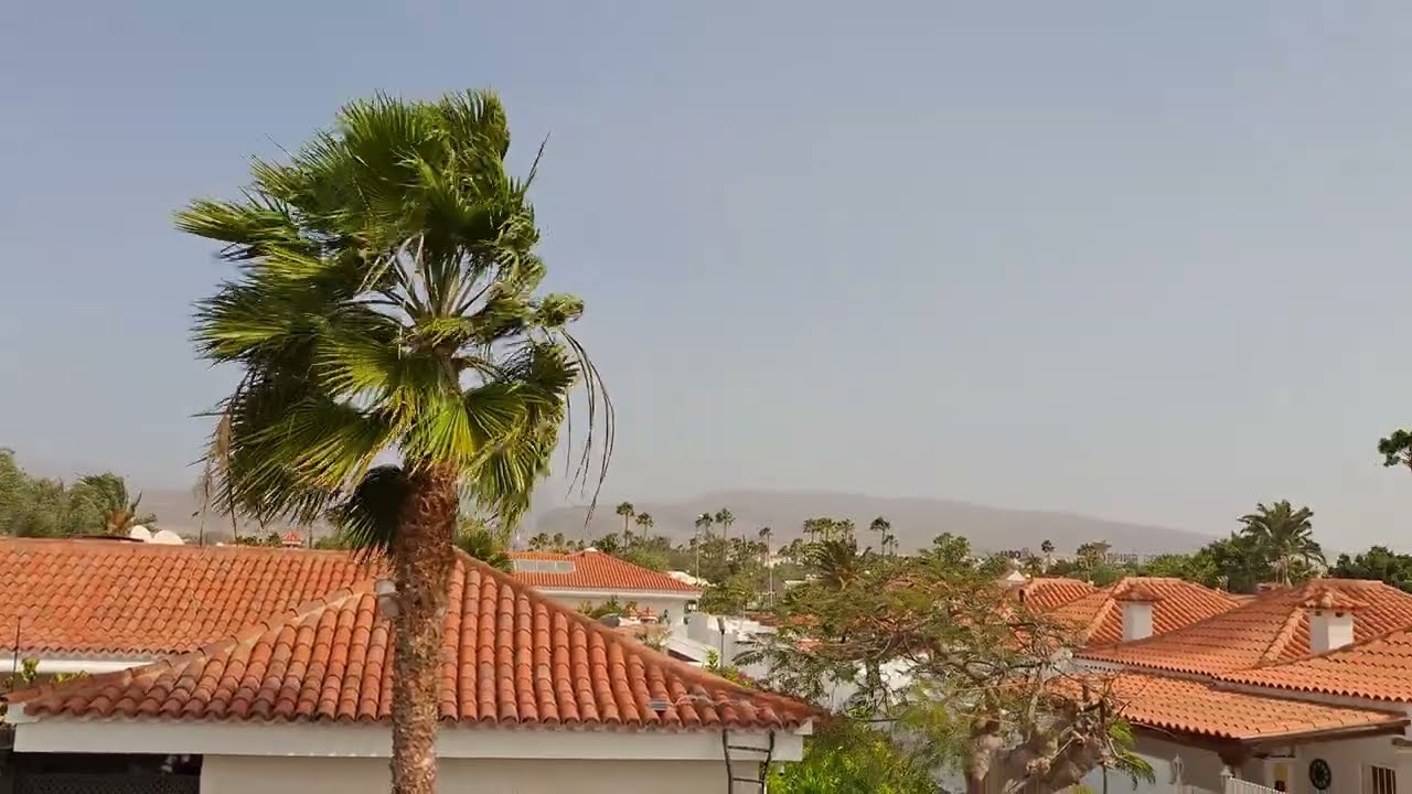 Wetter in Maspalomas 13.03.2026 - Sturm..!! #grancanaria #maspalomas #wetter #tiempo 