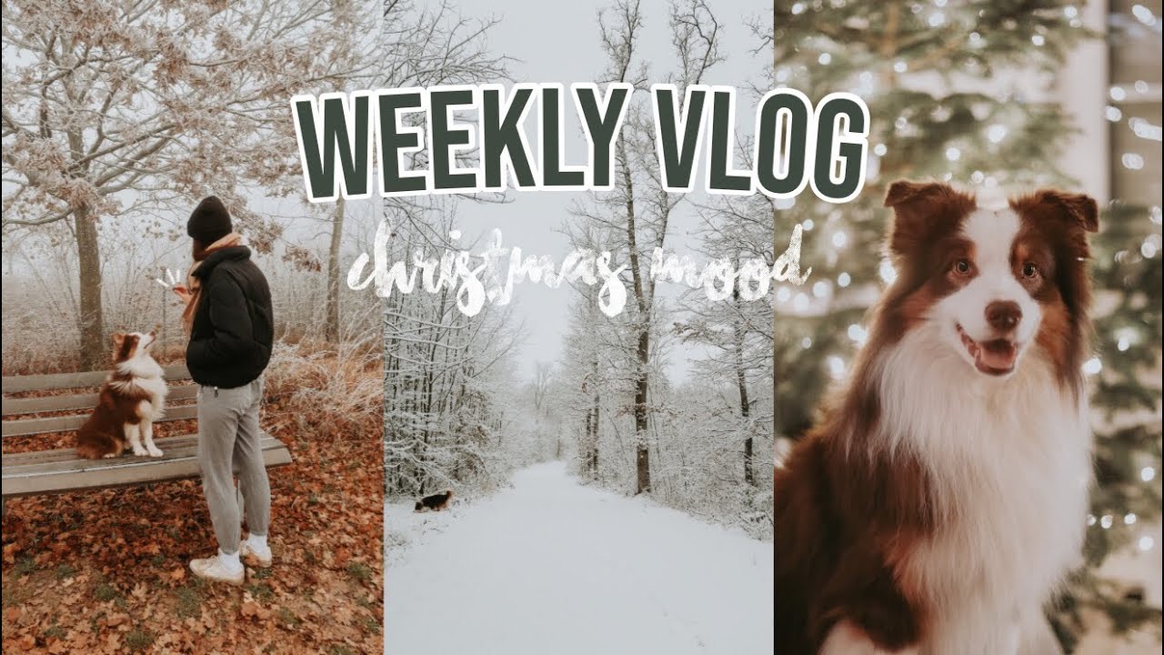 ALLTAG MIT HUND & DER ERSTE SCHNEE ❄️ *christmas mood* | Weekly Vlog