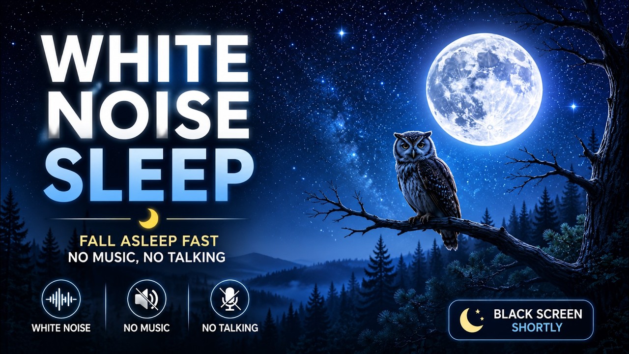 “Sleep Now 🌙 Gentle Owl Intro + White Noise for Deep Sleep”