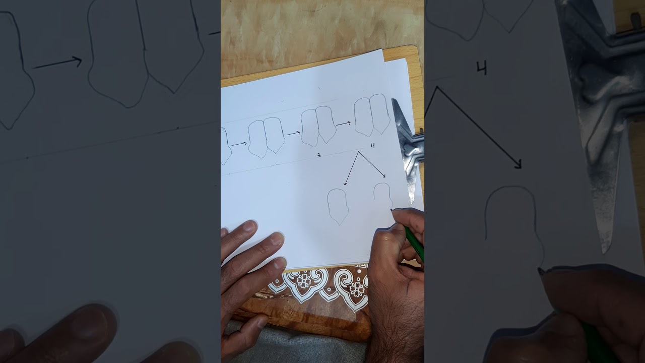 رسم الاقتران في البراميسيوم (التكاثر الجنسي).