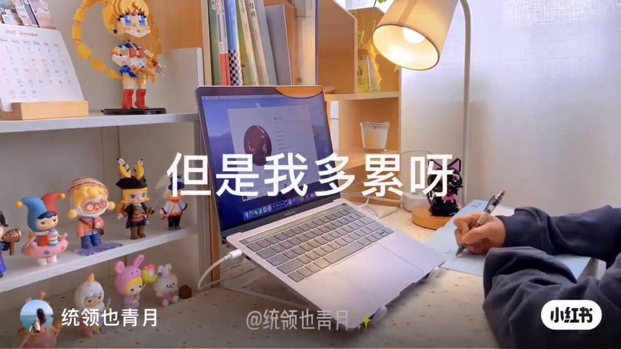 【30分钟超长学习励志视频】下下下周就要过年啦~