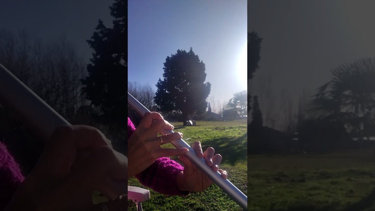 Probando mi nueva Low D Whistle Tony Dixon 🎶🥰